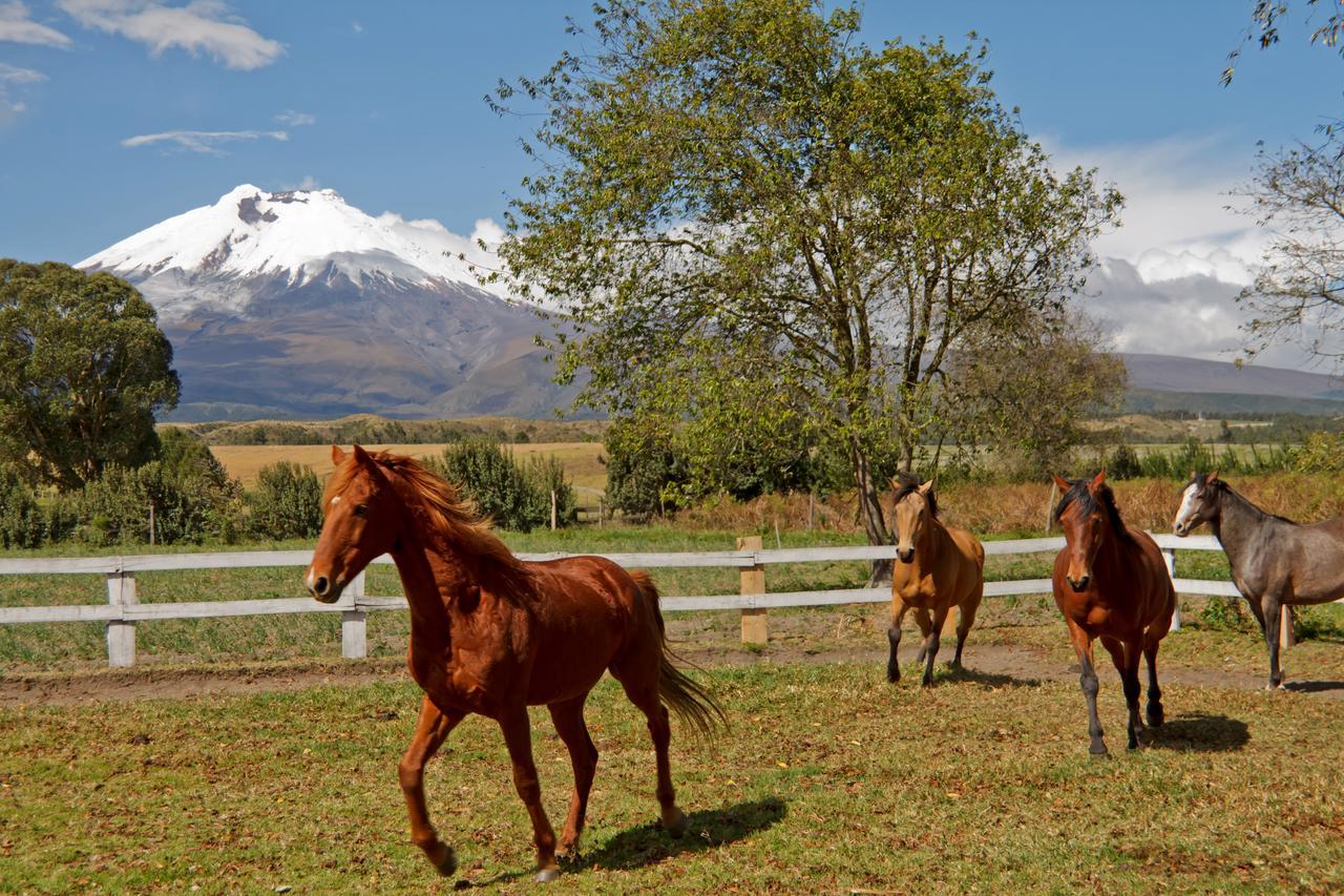 Hacienda San Agustin De Callo Lasso Luaran gambar
